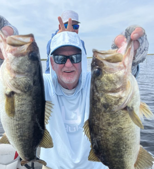 Largemouth bass: A true angler's prize!